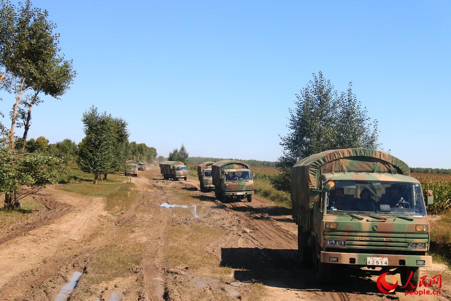 �����C��