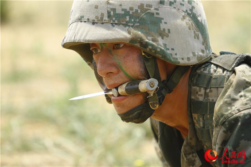 �ؑ�꠆T�[�νӔ����ʂ�Ͷ�S�w�����Rһ���z��