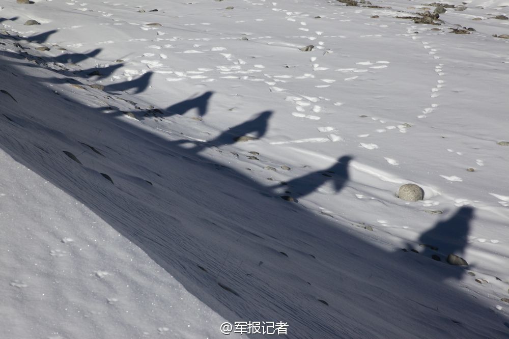 ���壺���܊����ѩ��Ѳ߉���ν�5000�׸�ԭ��6��