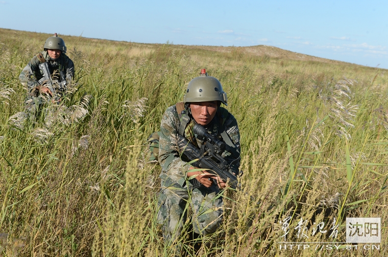 ����Ŀ�����������W�ؼsӛ���T�L�� �z