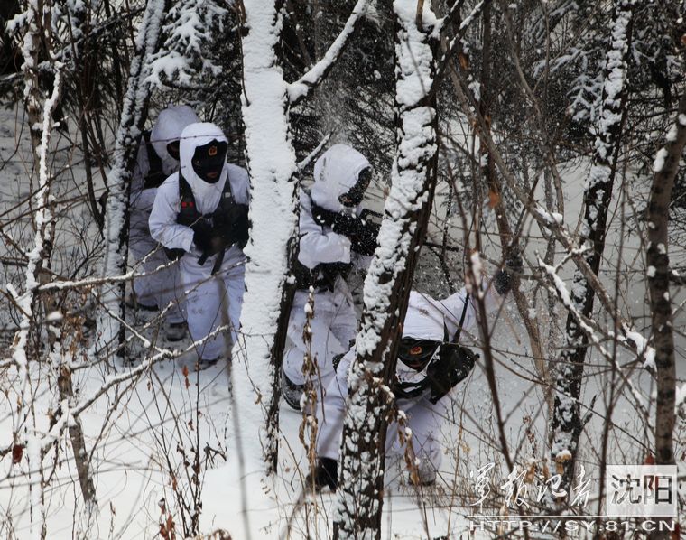 ����:���܊�b���������ֺ�ѩԭ ��ѩ���M�Ђɲ�Ӗ����5��