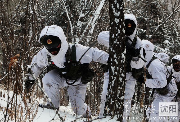 ����:���܊�b���������ֺ�ѩԭ ��ѩ���M�Ђɲ�Ӗ����6��