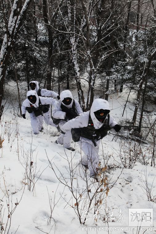 ����:���܊�b���������ֺ�ѩԭ ��ѩ���M�Ђɲ�Ӗ����10��