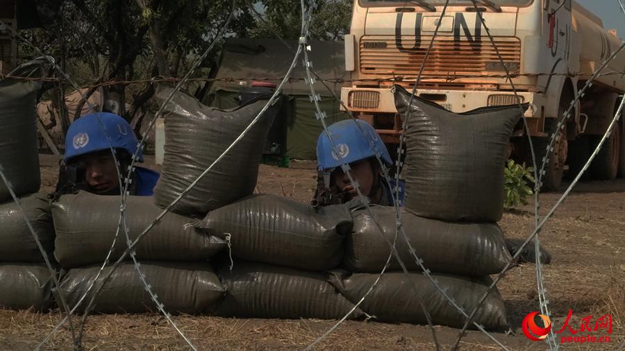 ɫu׃ҷˆTȻָ߶Ⱦ^Blչ |z