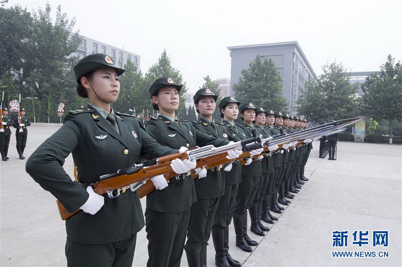  729Ї܊ꑺ܊x꠆TvӖ 巔z