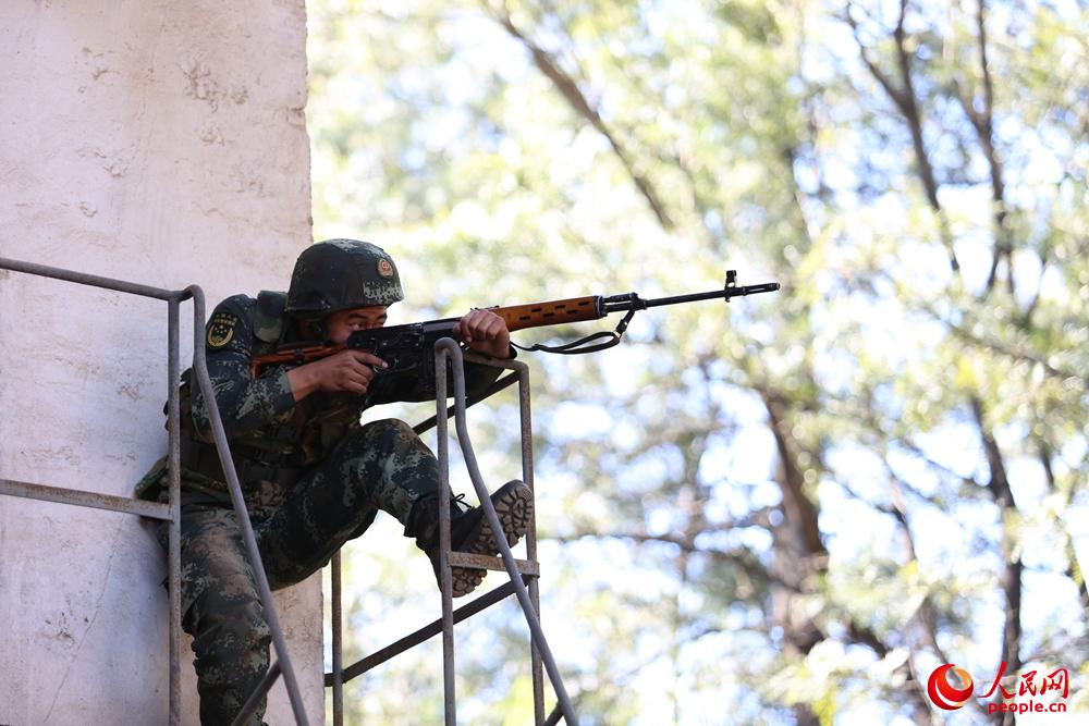 Mвݾѓռ̔z