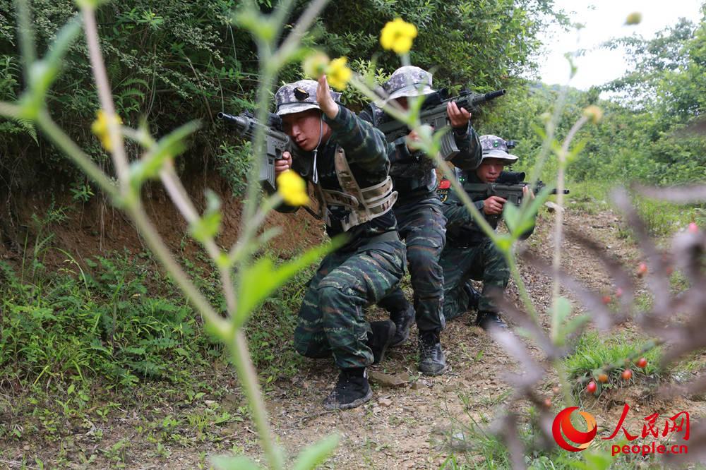 �t�{������