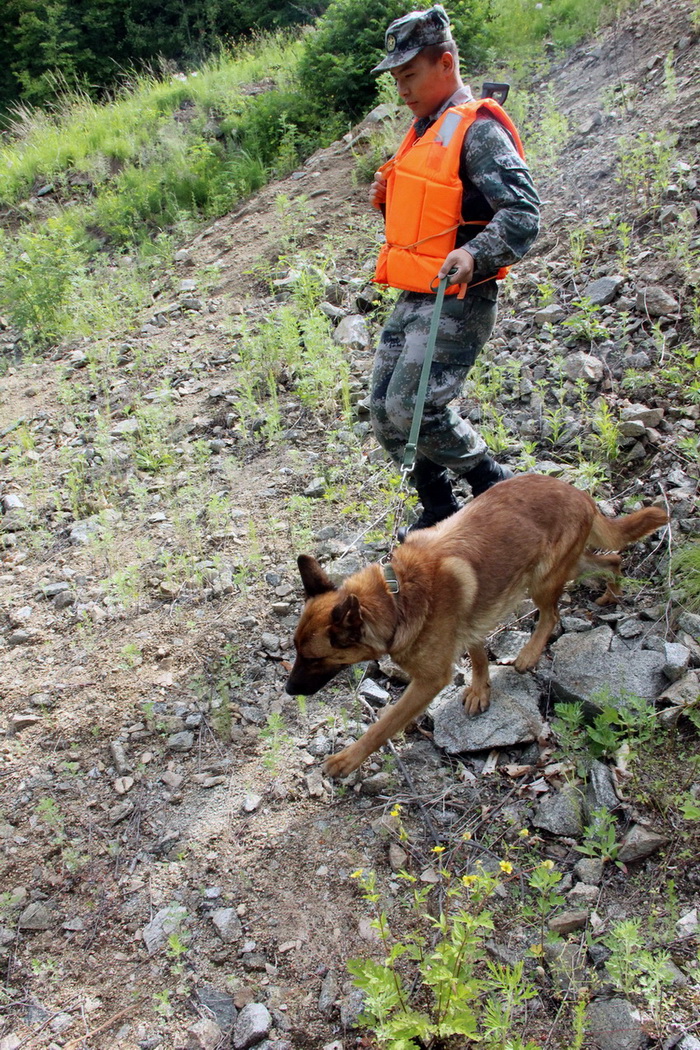 ܊ȮɯѲ߉ߵđʿӛ z