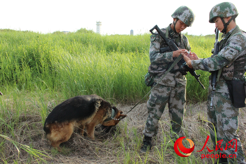 СҧSĕrg܊Ȯ}_ڿݲݵٶ@Mȥ꠆Tcȼc܊ȮһWӛ  z