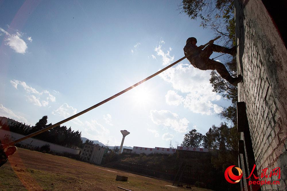 �ؑ�꠆T�M�Ѕf���ʵ���