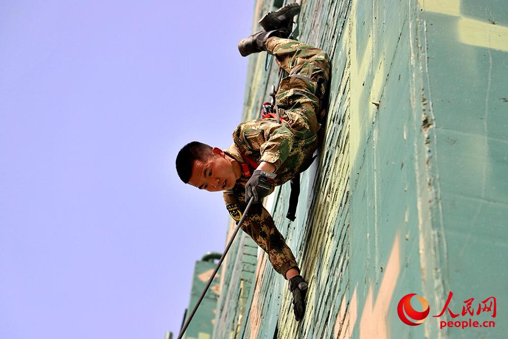 ů_侯A꠆ؑTӖæ8