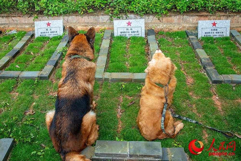 ܊Ȯ䡱󣩺͡ңͬѡW늡