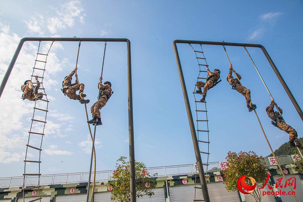 218侯꠆ؑTMʵӖ