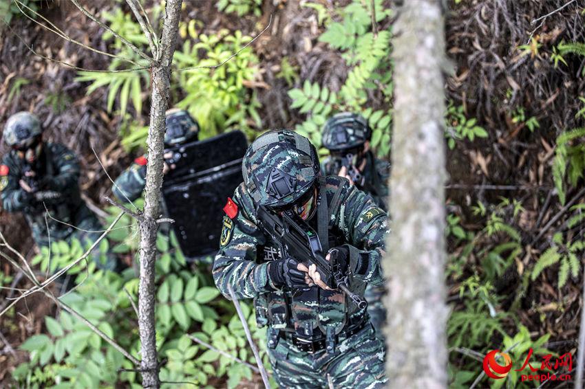 �����g�M��������