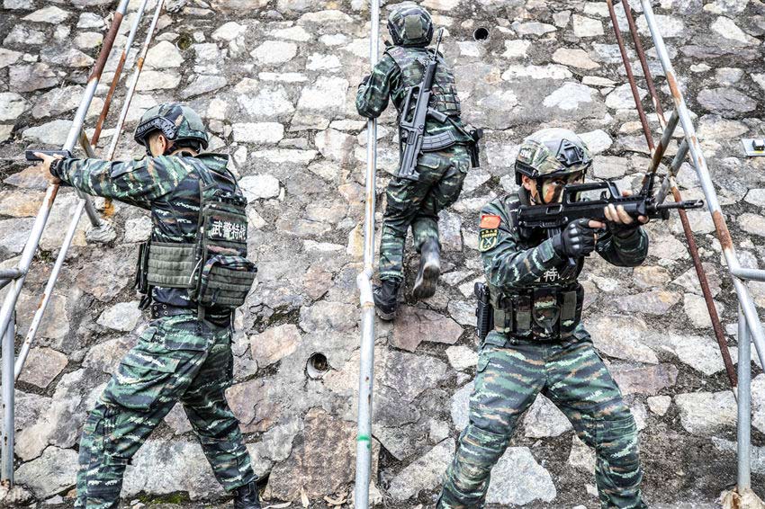 ���o���������ʵ���