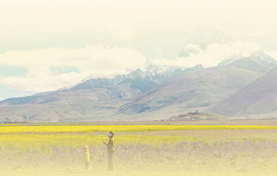 տtЁ|h׿ľѩɽAӛ    z