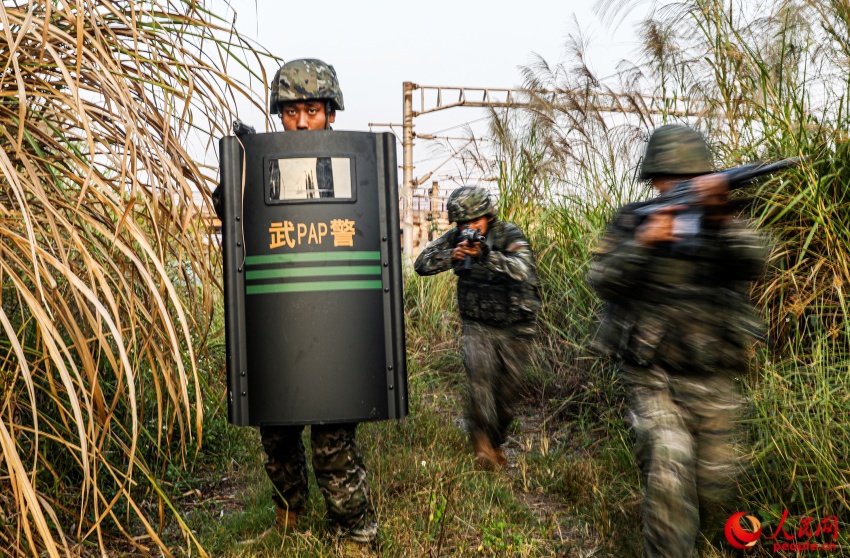 進行山林地搜索。