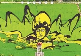 楊靖宇將軍巨型稻田畫全景。無人機航拍